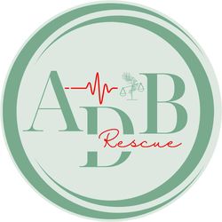 ADB RESCUE logo