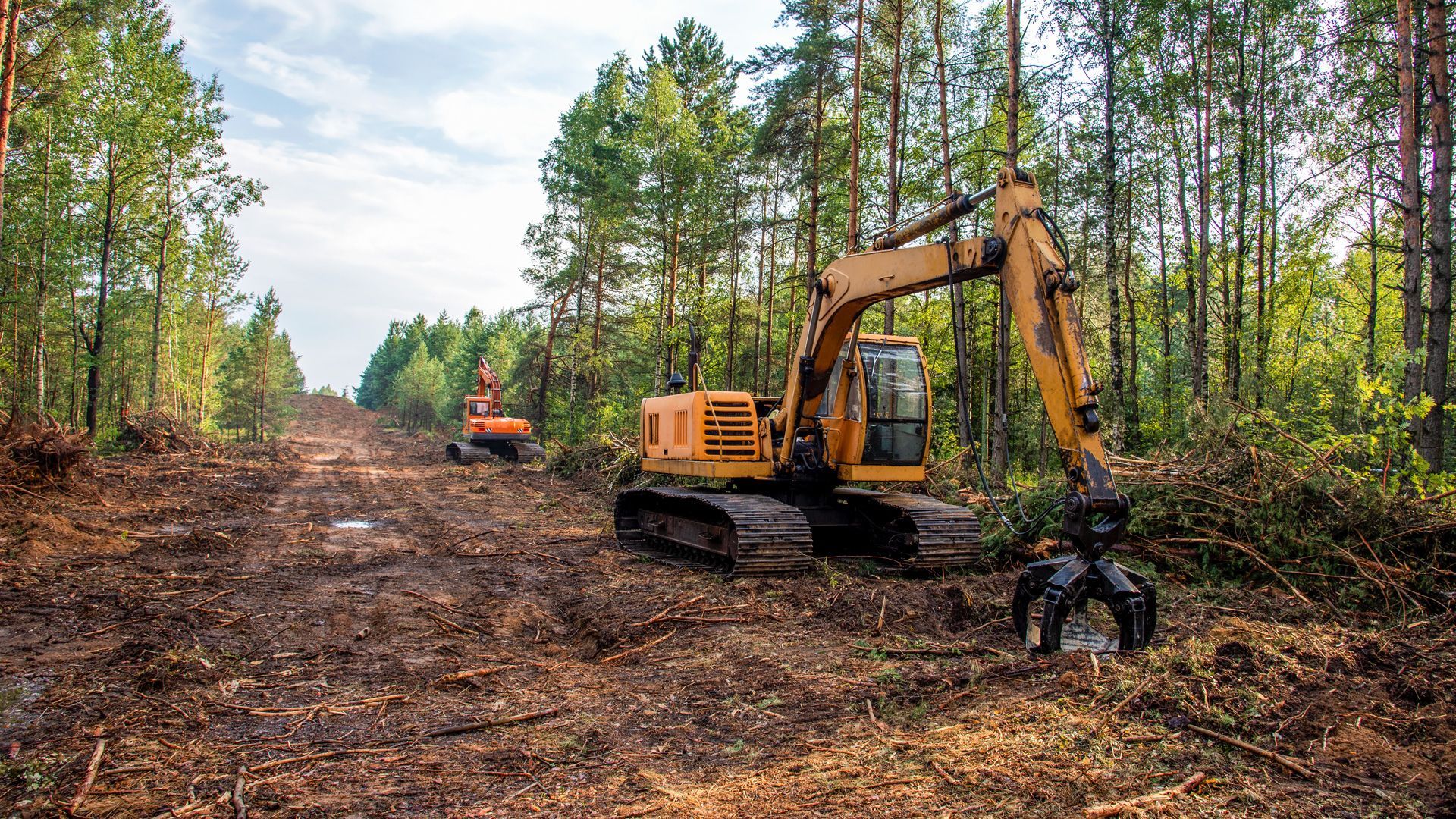 A yellow excavator is cutting down trees in a forest.