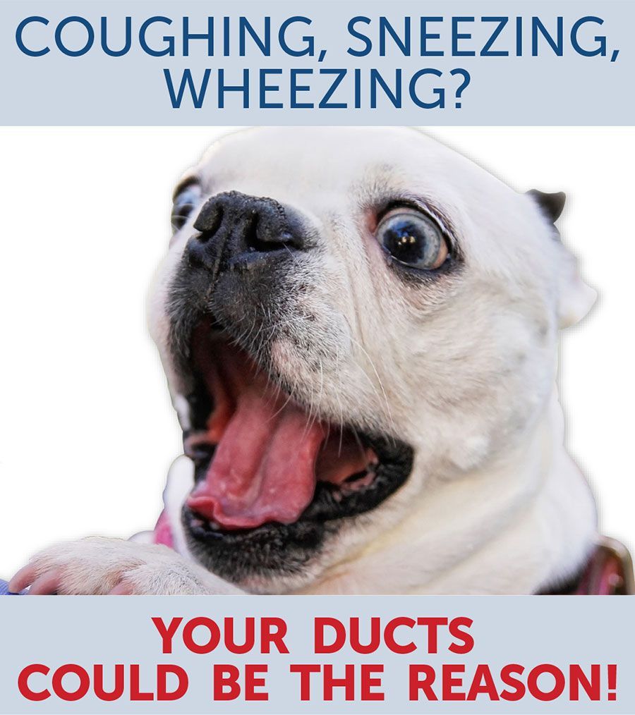 Coughing, sneezing, wheezing - Your ducts could be the reason.