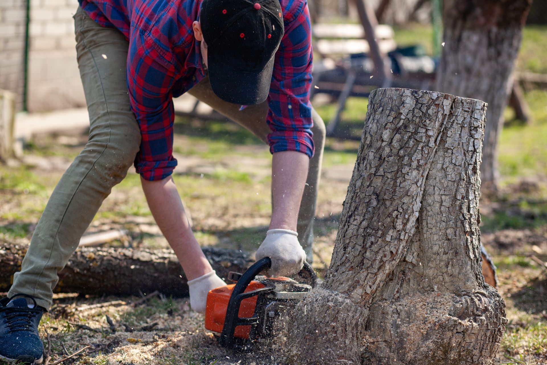 tree removal