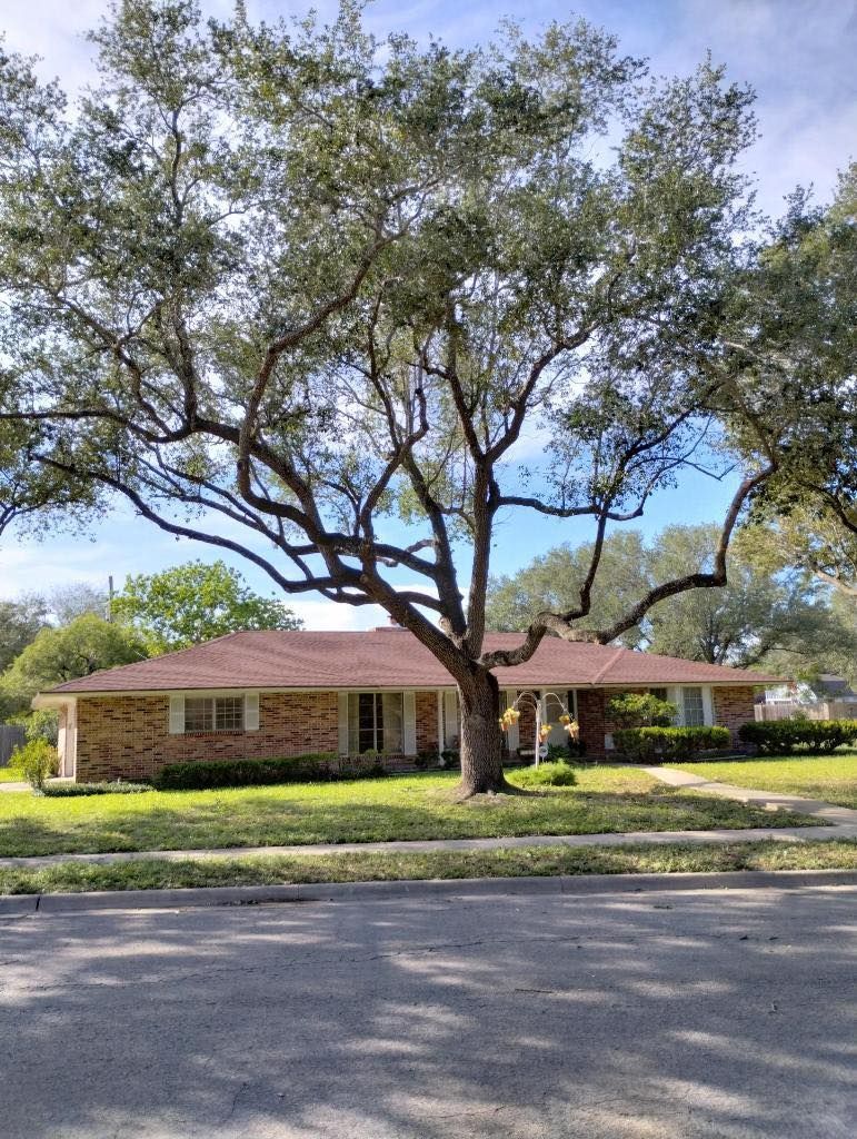 A one-story brick house with a brown roof, framed by a large tree and blue sky.