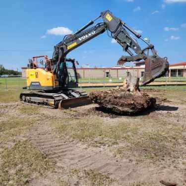 Yellow Volvo excavator removing a tree stump from a grassy area under a blue sky.