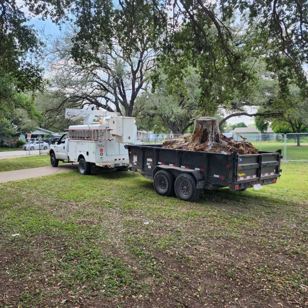 Truck with lift and trailer hauling a tree stump on grassy lawn near houses.