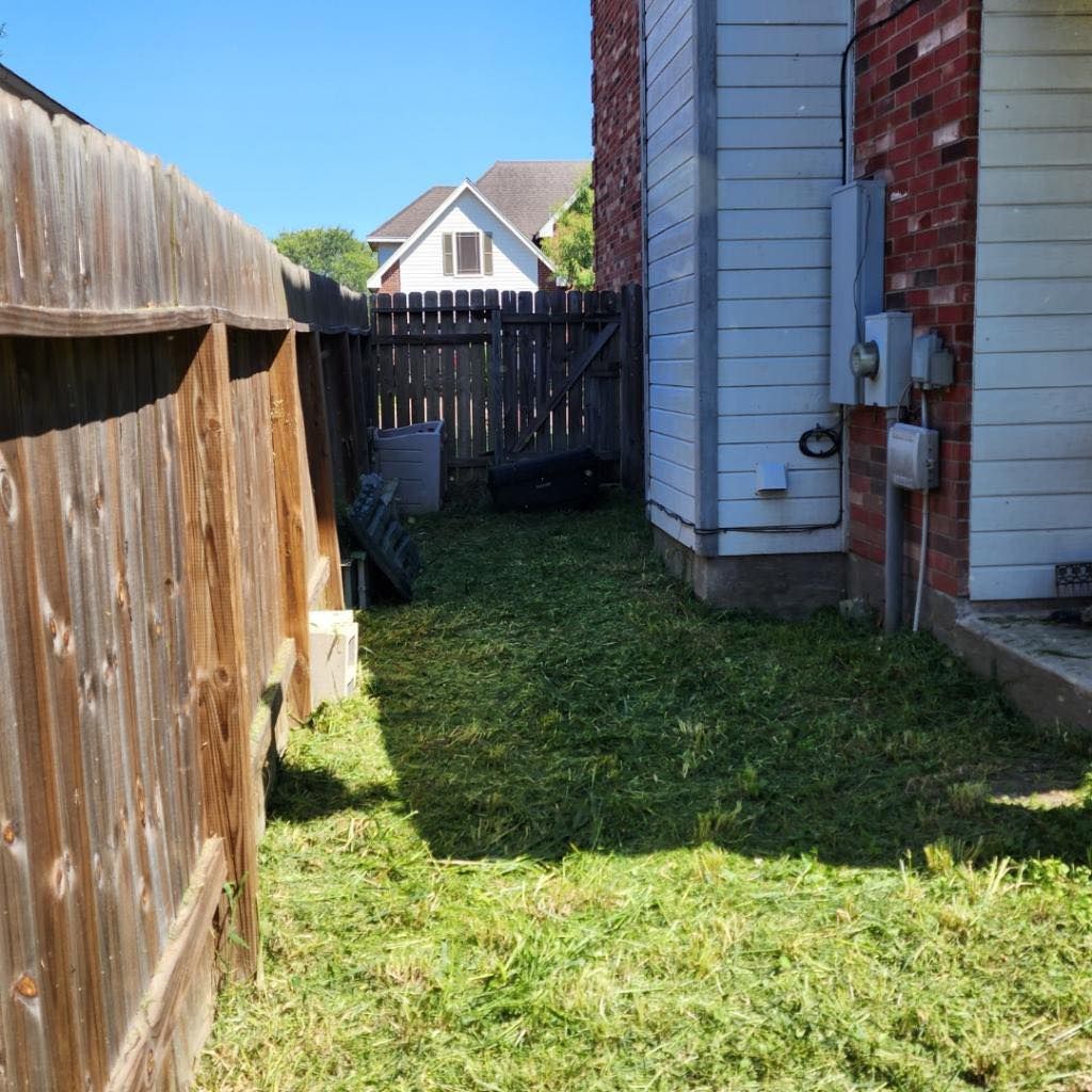 Backyard with freshly mowed grass between a wooden fence and house. Blue sky.