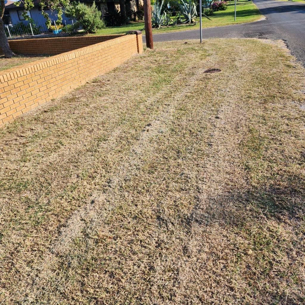 Dry grass lawn next to a brick wall and paved road.
