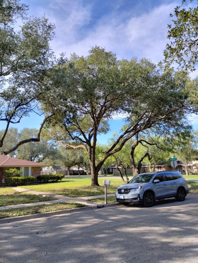 A silver SUV parked on a residential street with a large tree overhead on a sunny day.
