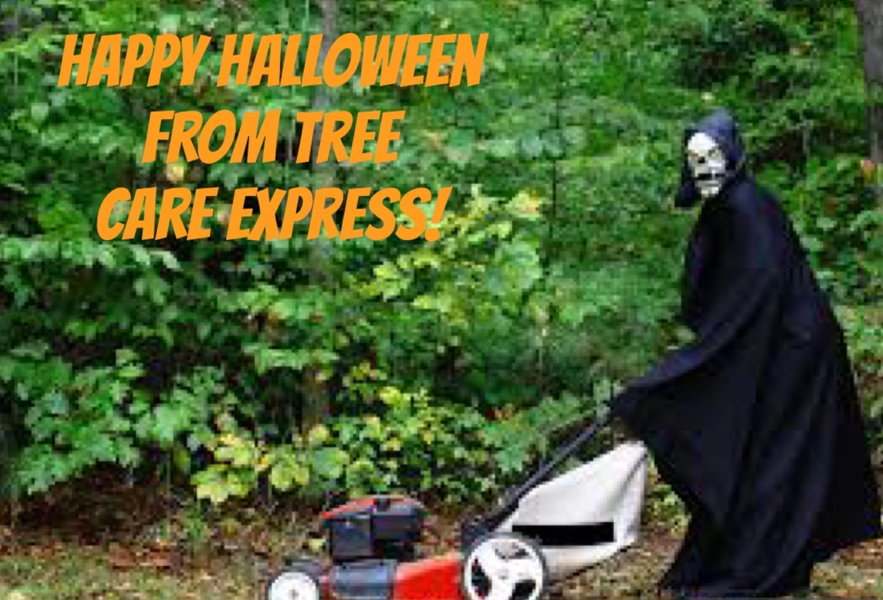 Grim Reaper mowing a lawn in front of green bushes. Happy Halloween from Tree Care Express!