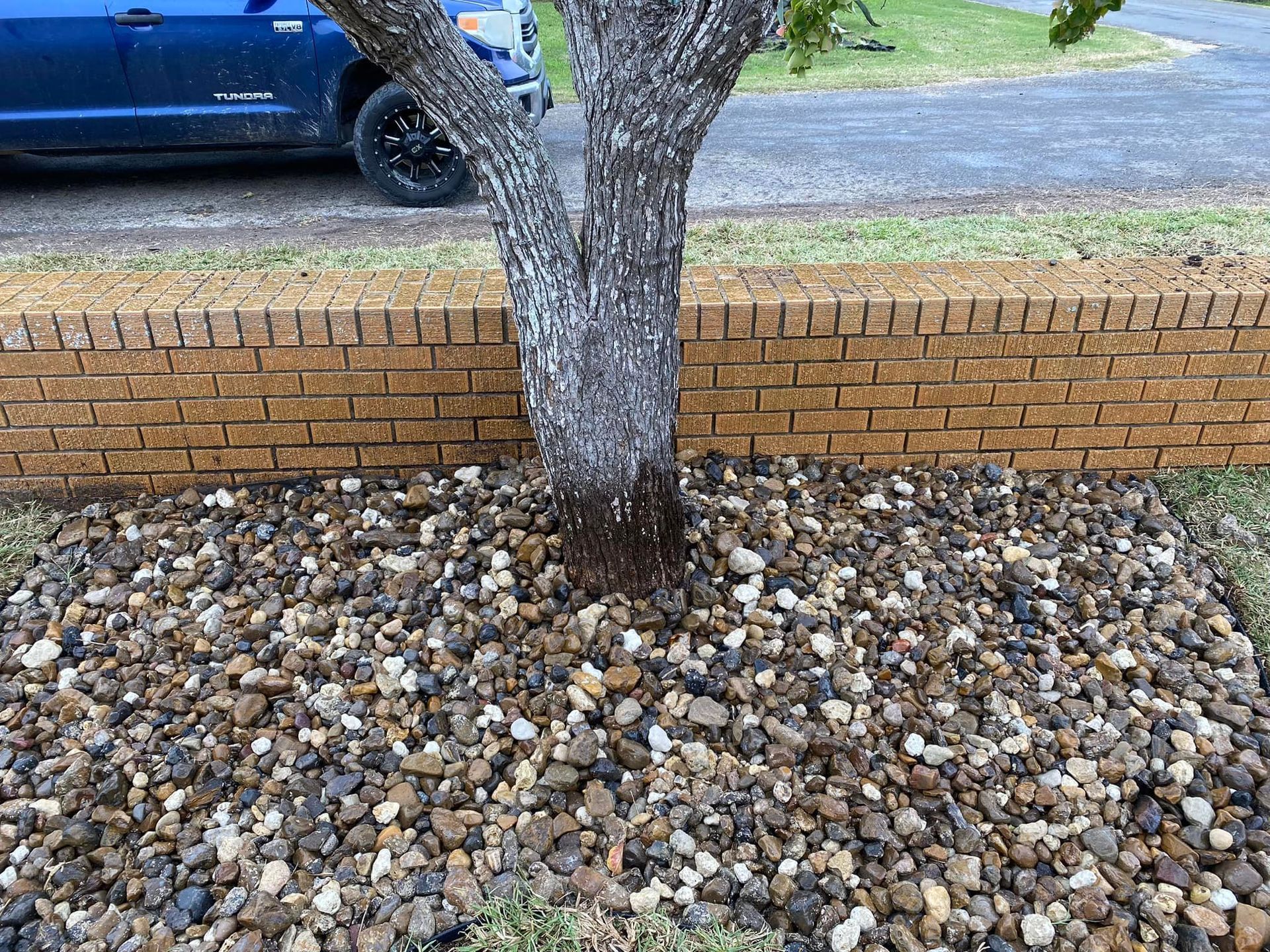 Tree trunk in a bed of rocks, bordered by a brick wall, next to a street and parked vehicle.