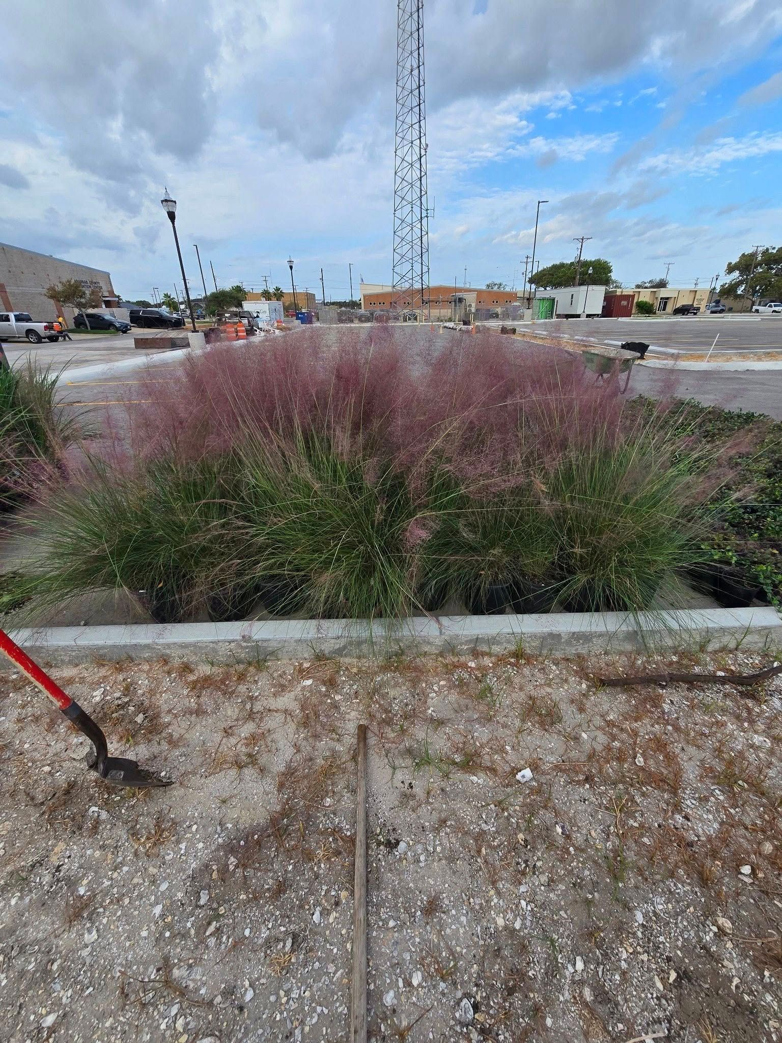 A flowerbed with pink and green plants in a gravel lot with buildings and a cloudy sky in the background.