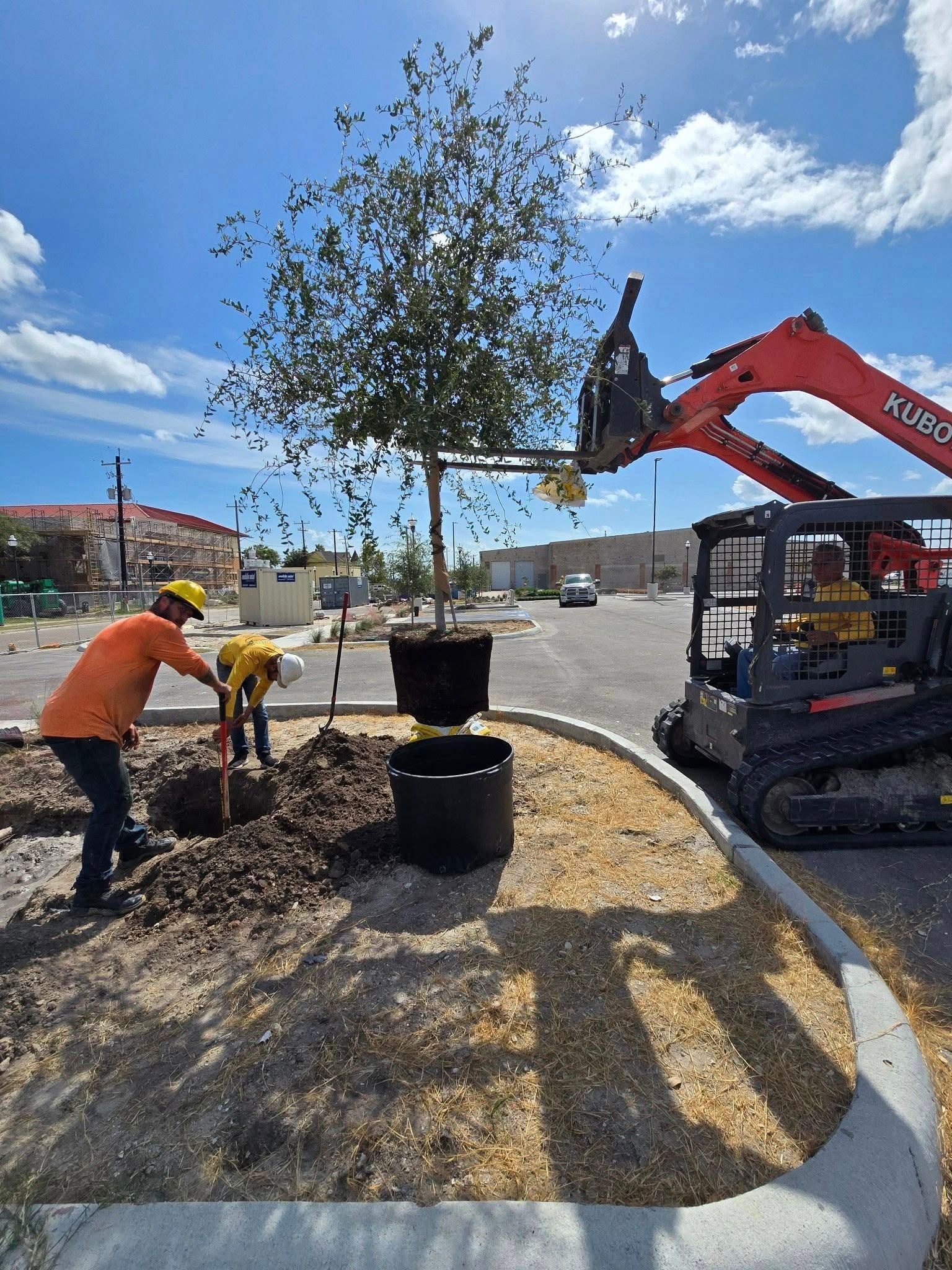 Workers plant a tree with an excavator in a sunny parking lot.