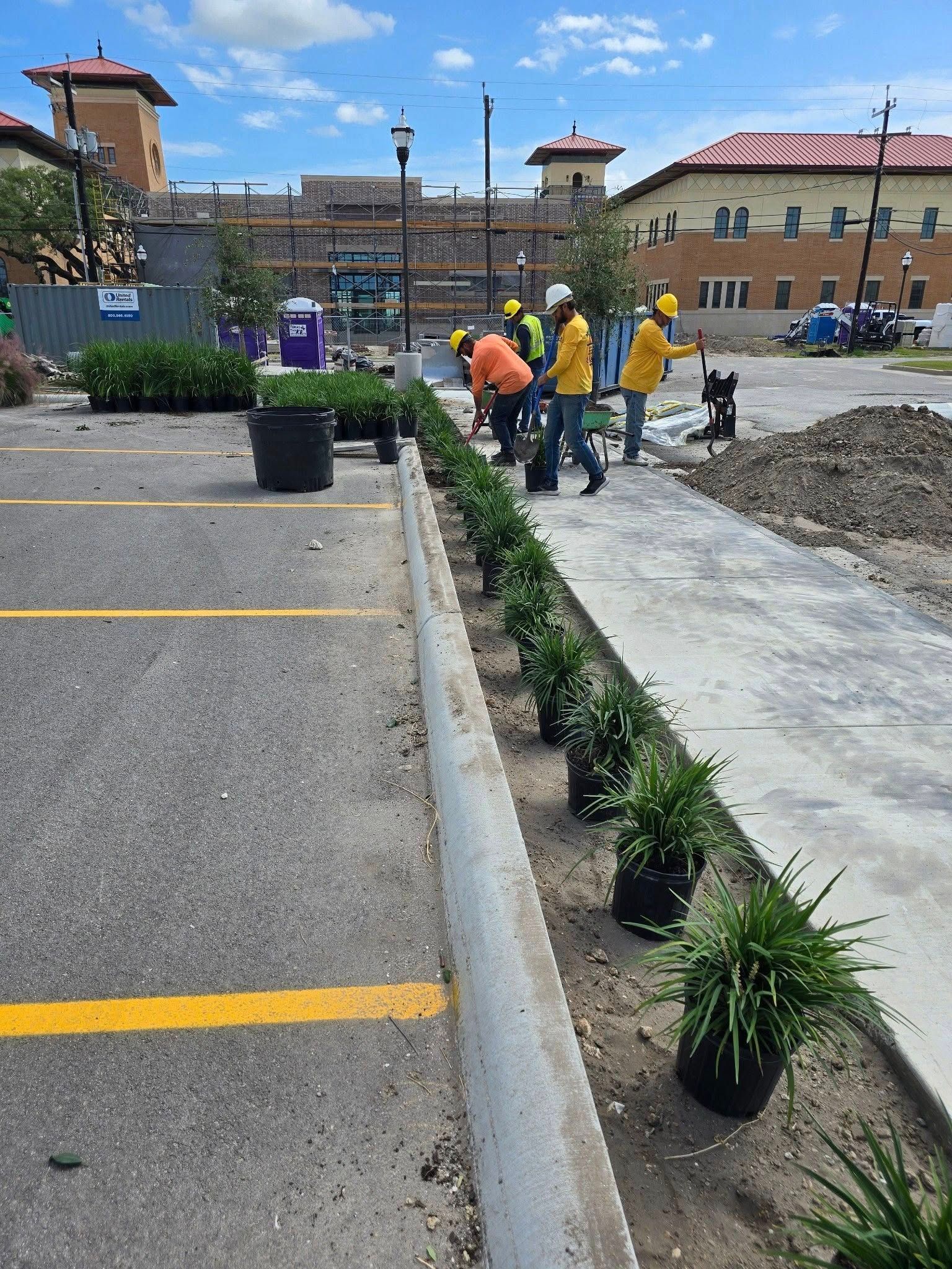 Construction workers planting greenery in a parking lot. The workers wear yellow and orange vests.