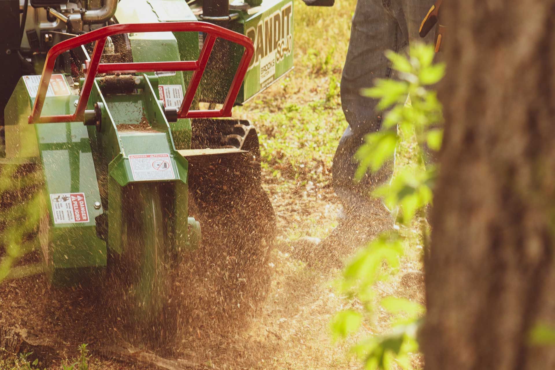 Green stump grinder removing wood, spraying debris, next to tree.