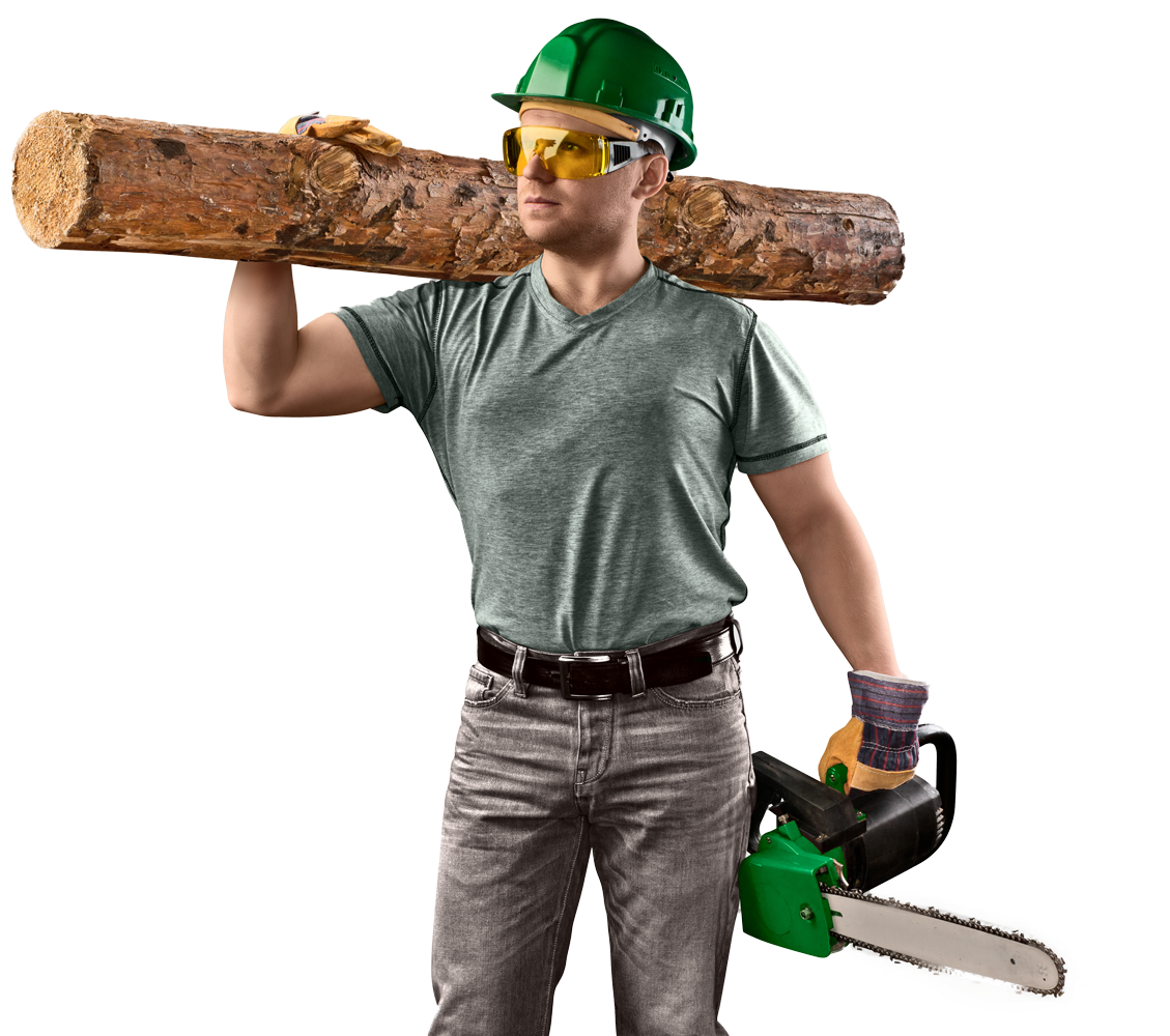 Lumberjack with log on shoulder, holding chainsaw, wearing green hard hat and safety glasses.
