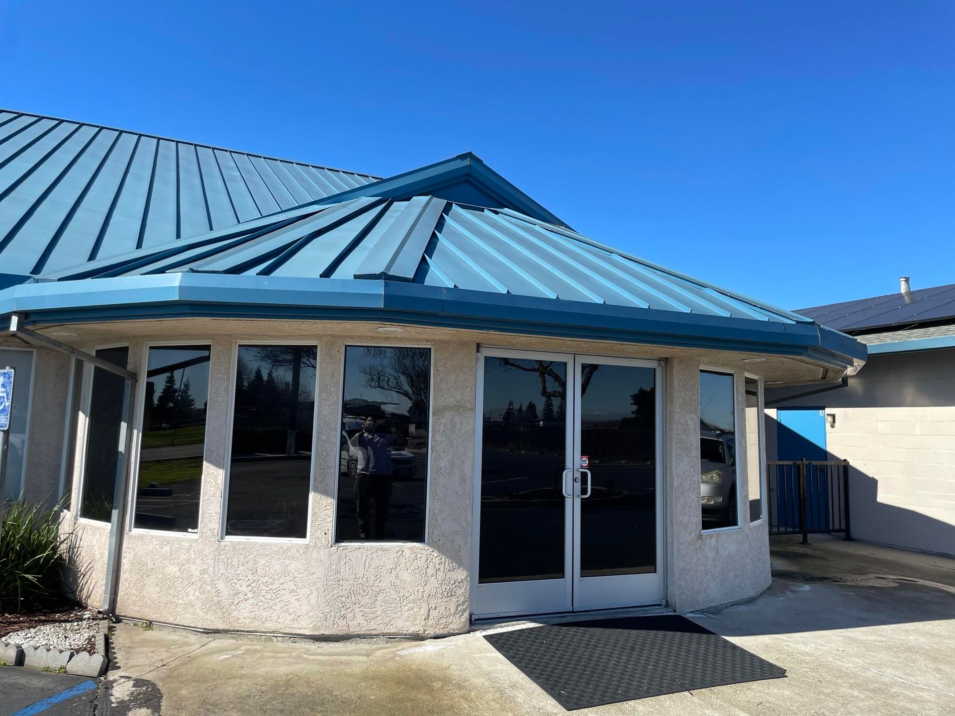 A window with a view of a backyard and a wooden fence.