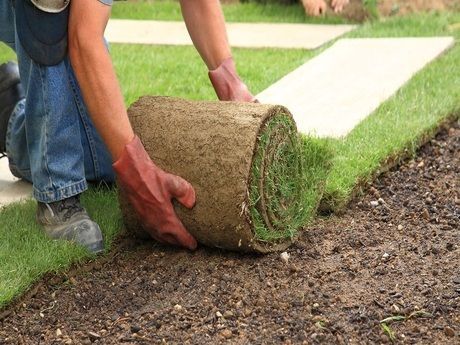 Sod and Lawn Installation