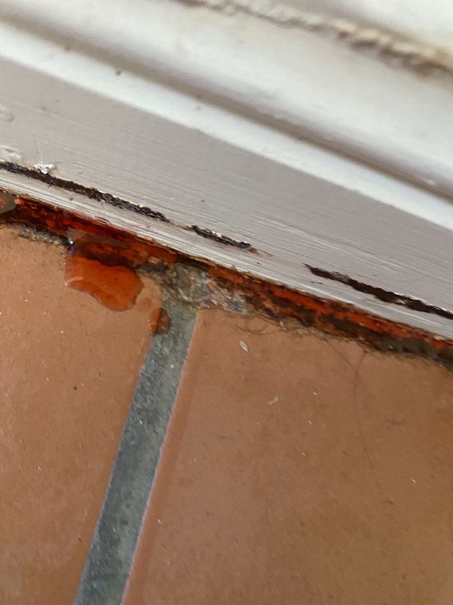 Leak in Wall — Plumber in Garbutt, QLD