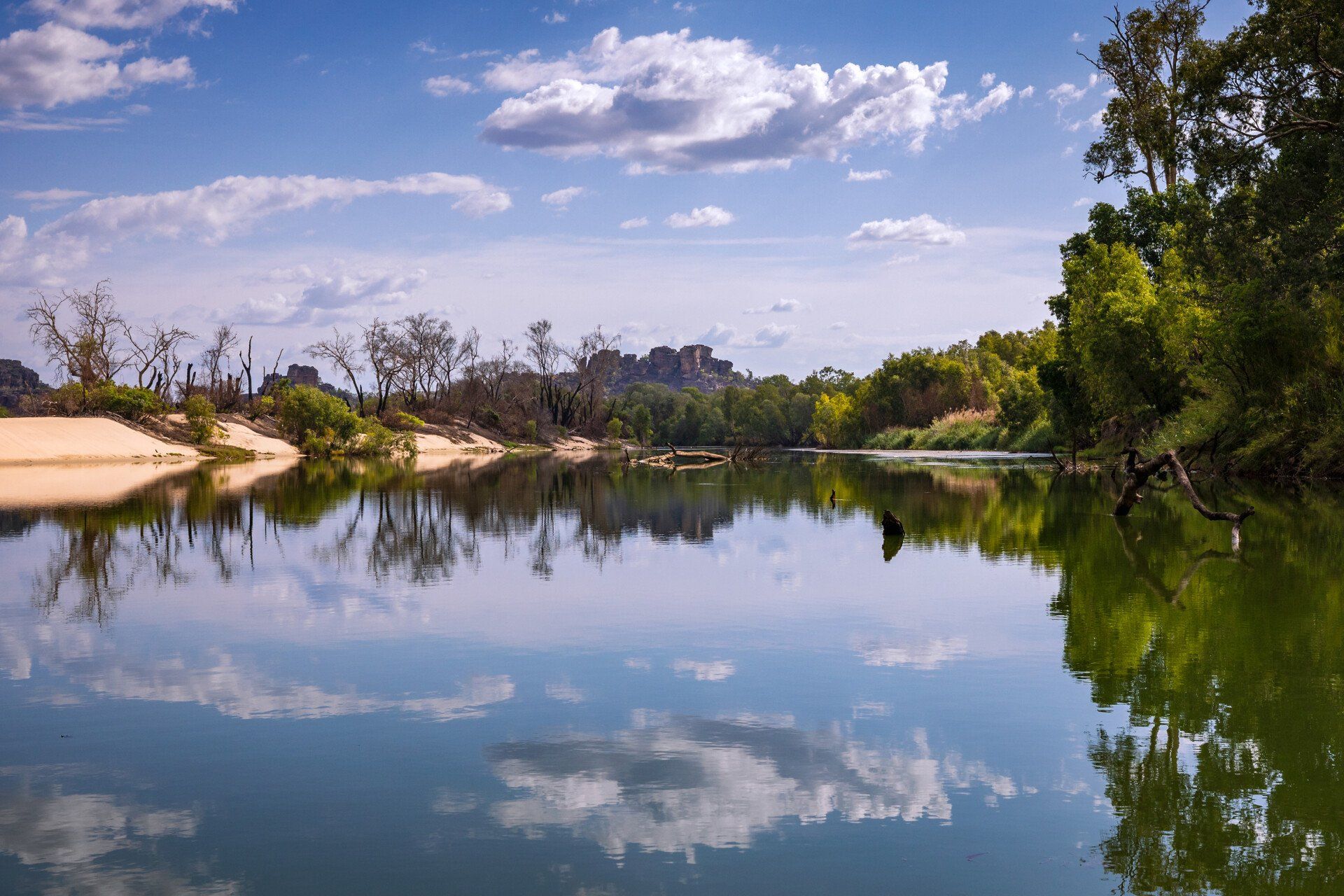 A large body of water surrounded by trees and mountains on a sunny day.
