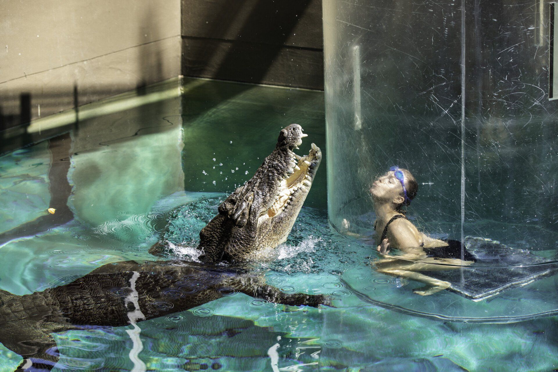 Crocosaurus Cove - Helen Orr