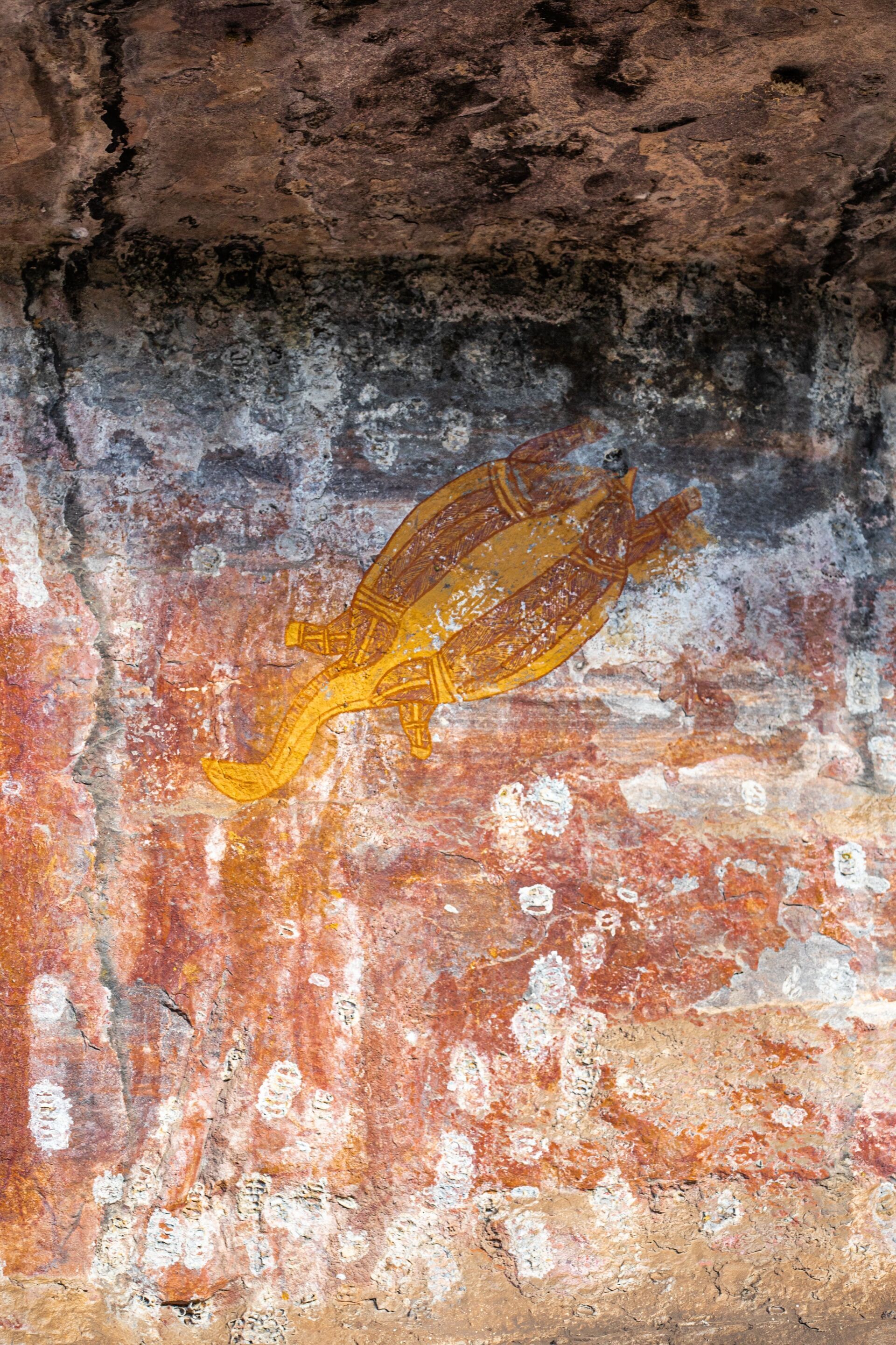 There is a painting of a fish on the wall of a cave.