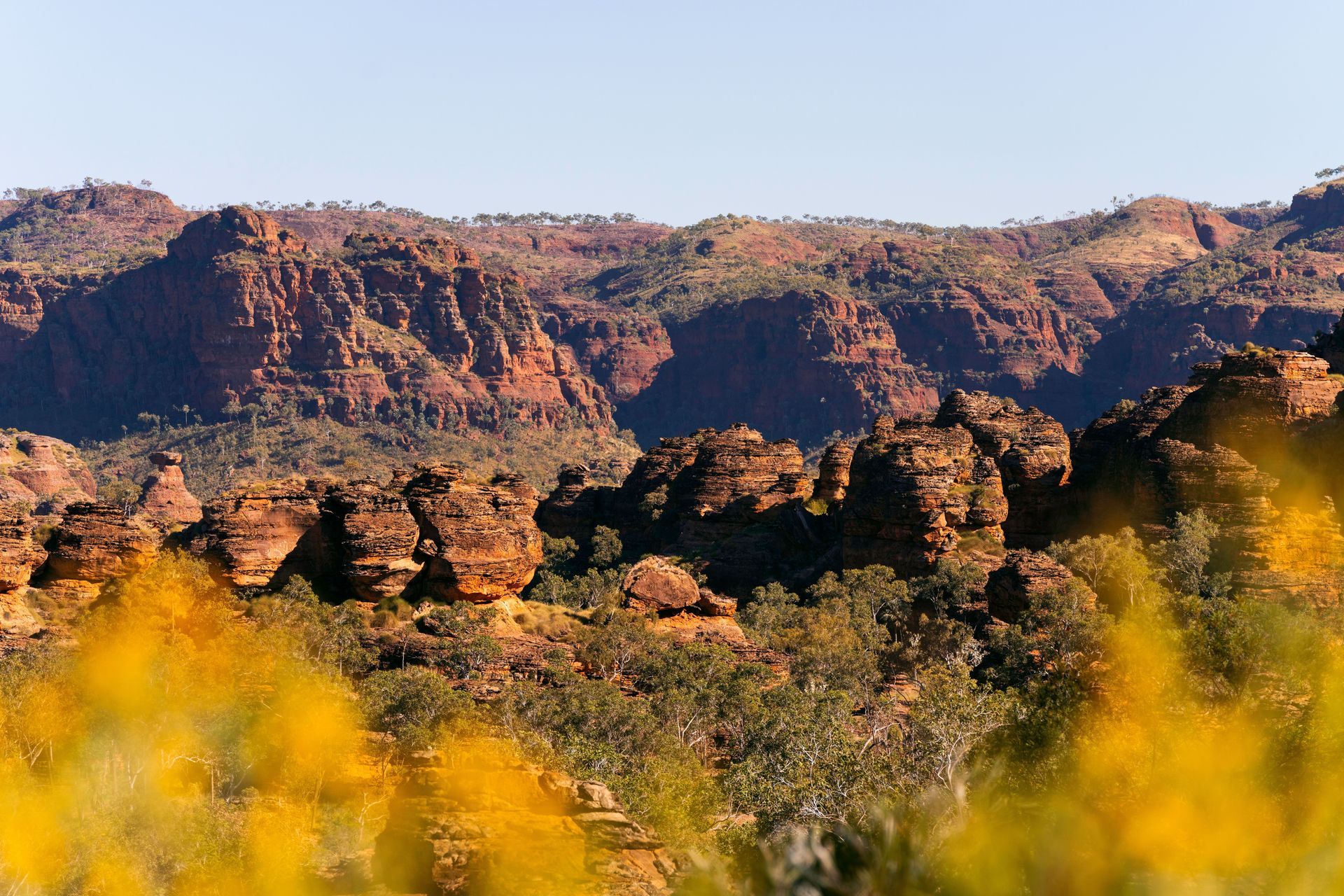 A landscape of mountains and trees with yellow flowers in the foreground.