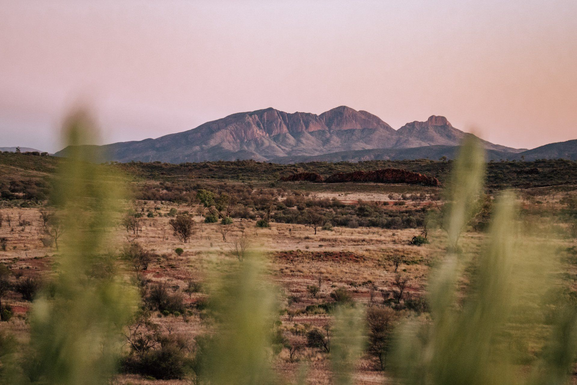 A desert landscape with mountains in the background and a field of grass in the foreground.