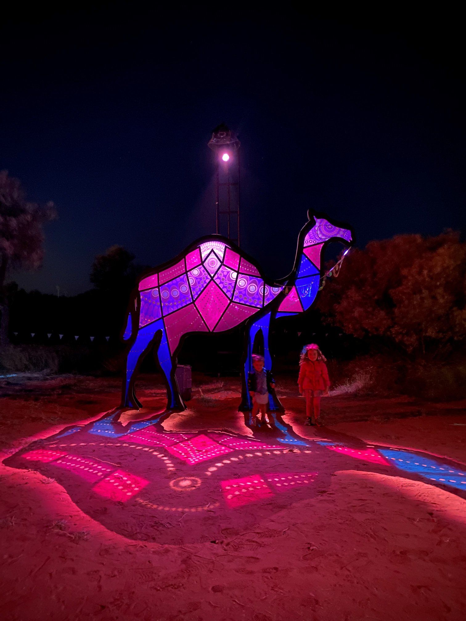 A statue of a camel is lit up at night.