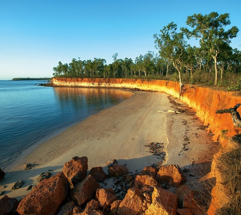 A sandy beach with rocks and trees in the background