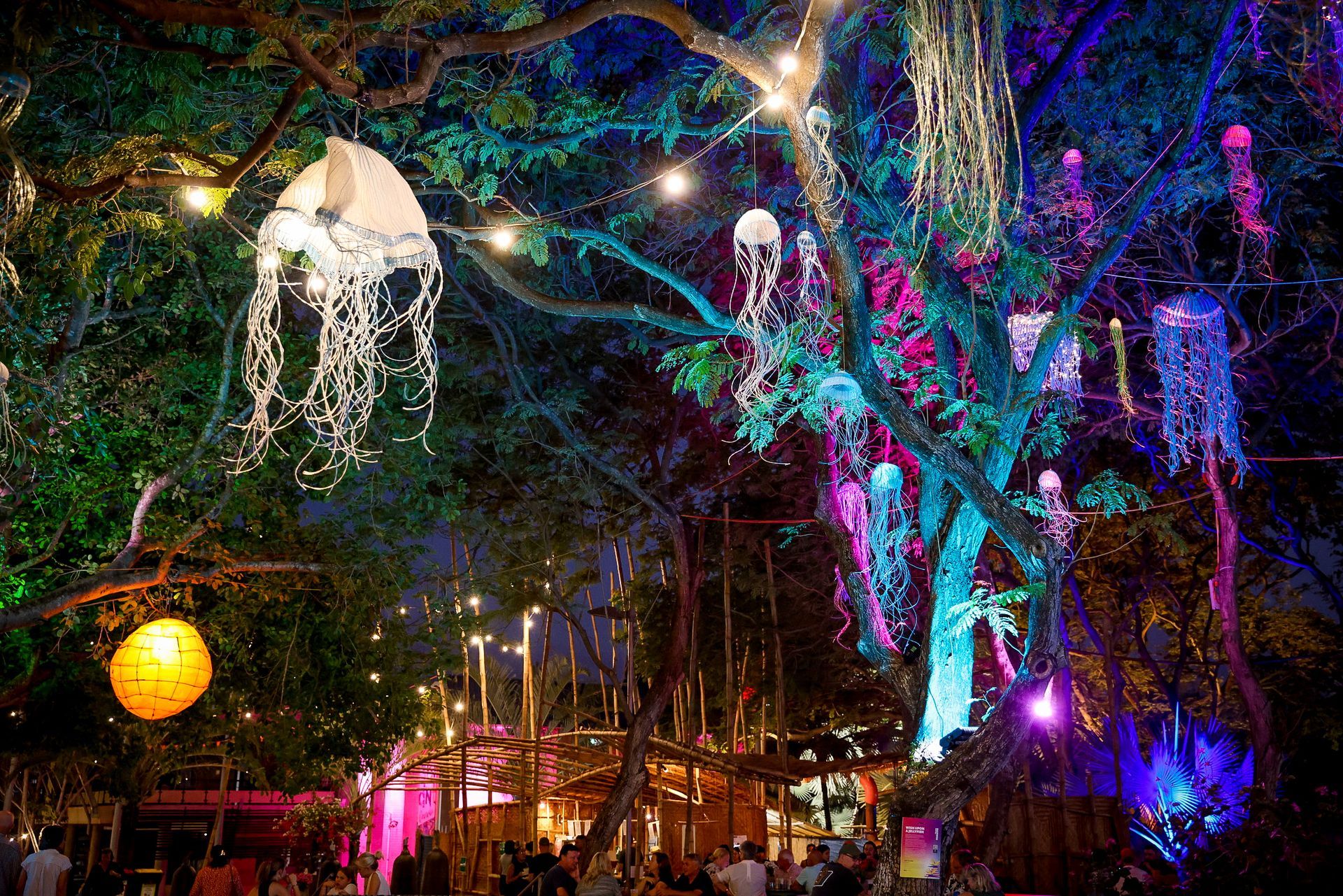 Darwin Festival 2026