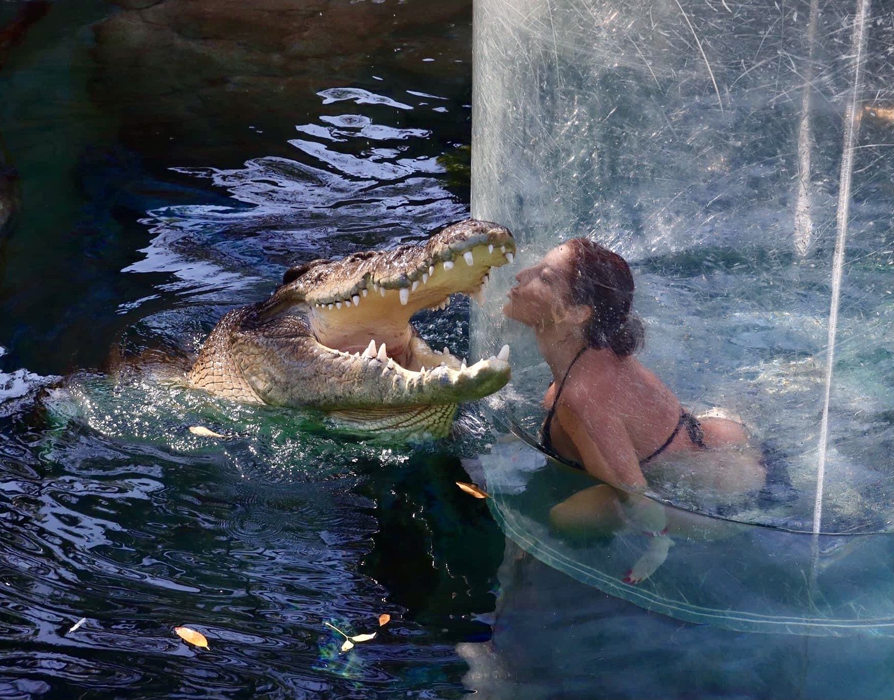 Crocosaurus Cove, Darwin & surrounds