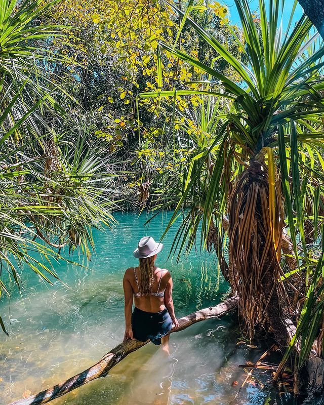 A woman is sitting on a log in the water surrounded by palm trees.
