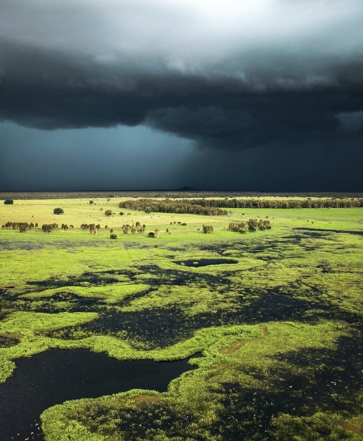 Billabong, Darwin & surrounds