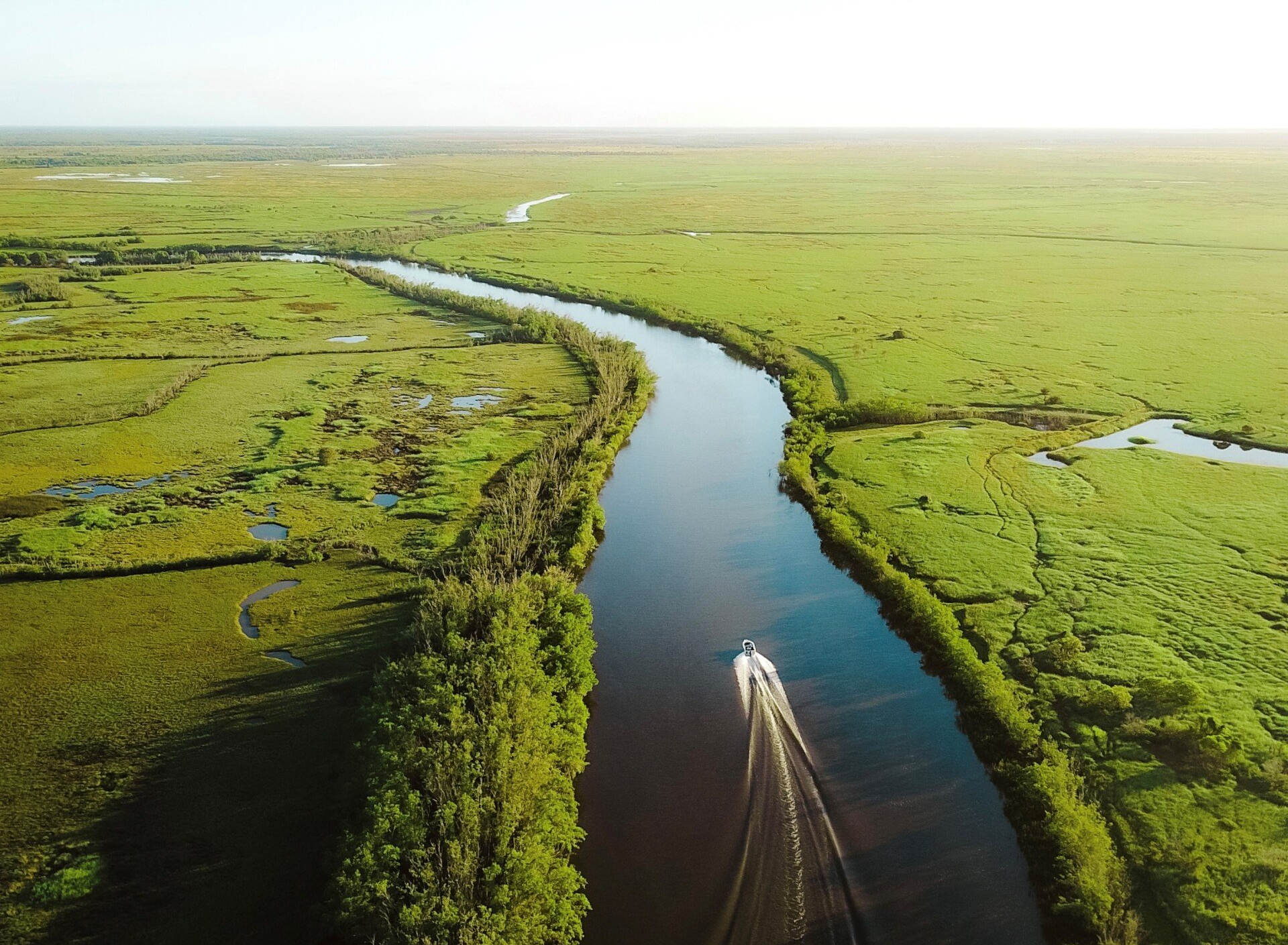 An aerial view of a boat going down a river surrounded by swamps.