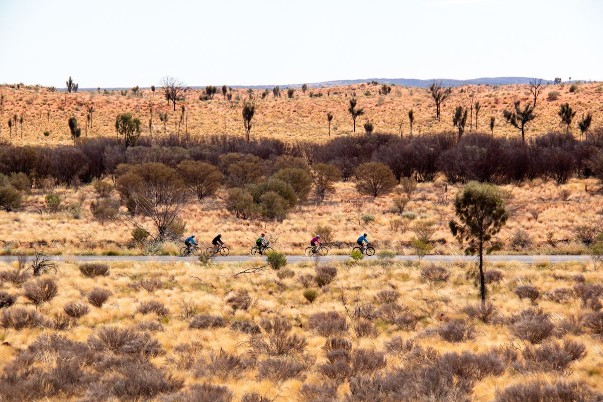 A group of people are riding bikes down a road in the desert.