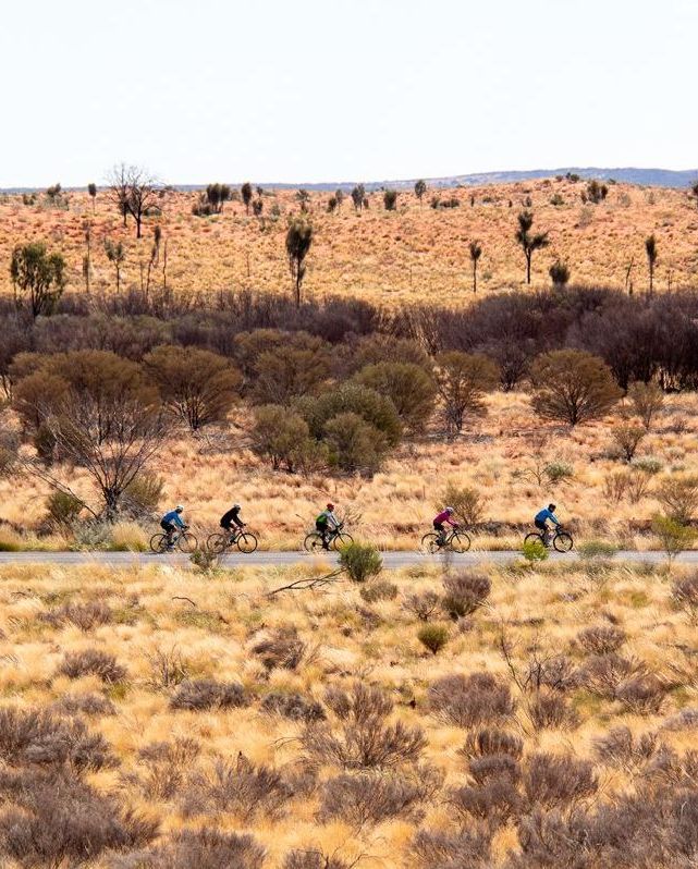 A group of people are riding bicycles down a road in the desert.