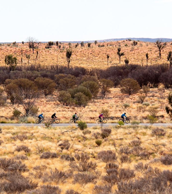 A group of people are riding bicycles down a road in the desert.