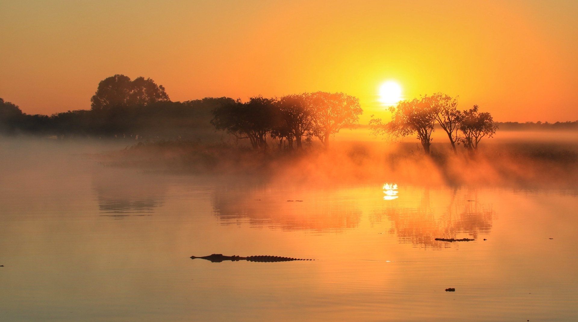 The sun is setting over a foggy lake with trees in the background.