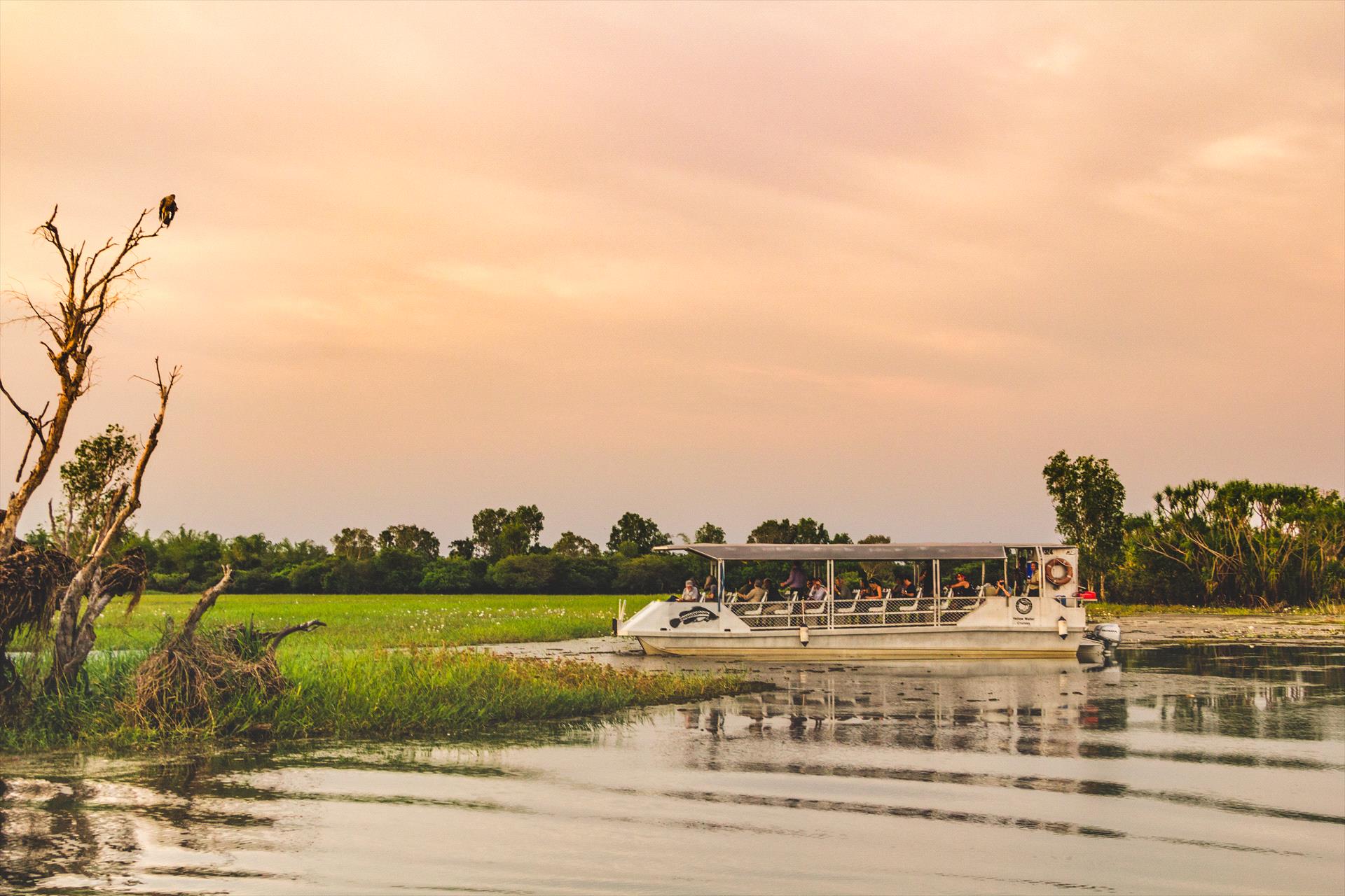 Yellow Water Cruises