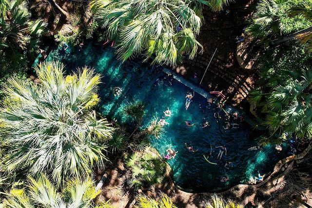 Mataranka Springs, Katherine & surrounds