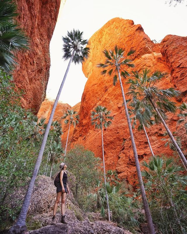 A woman is standing in a canyon surrounded by palm trees.