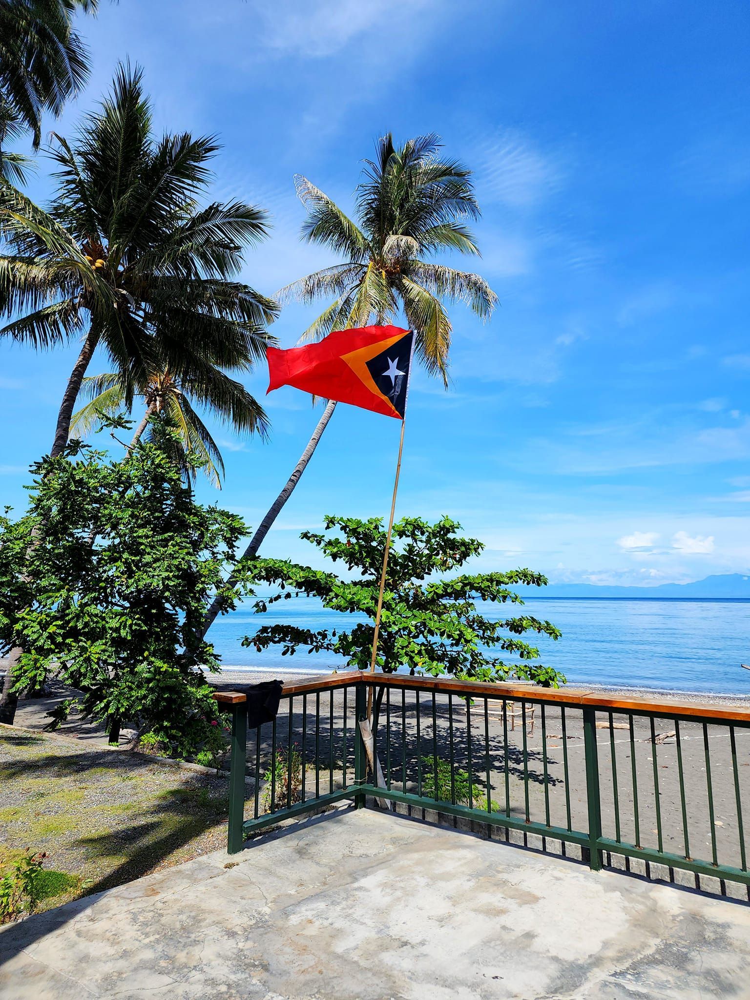 A red , white and blue flag is hanging from a palm tree near the ocean.
