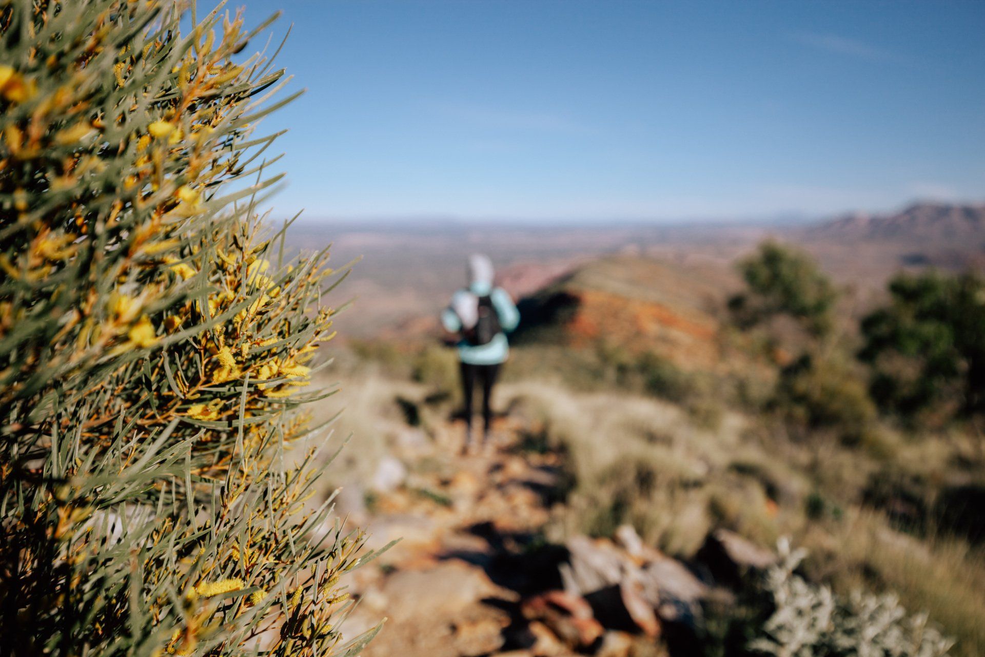 A blurry picture of a person walking on a trail in the mountains.