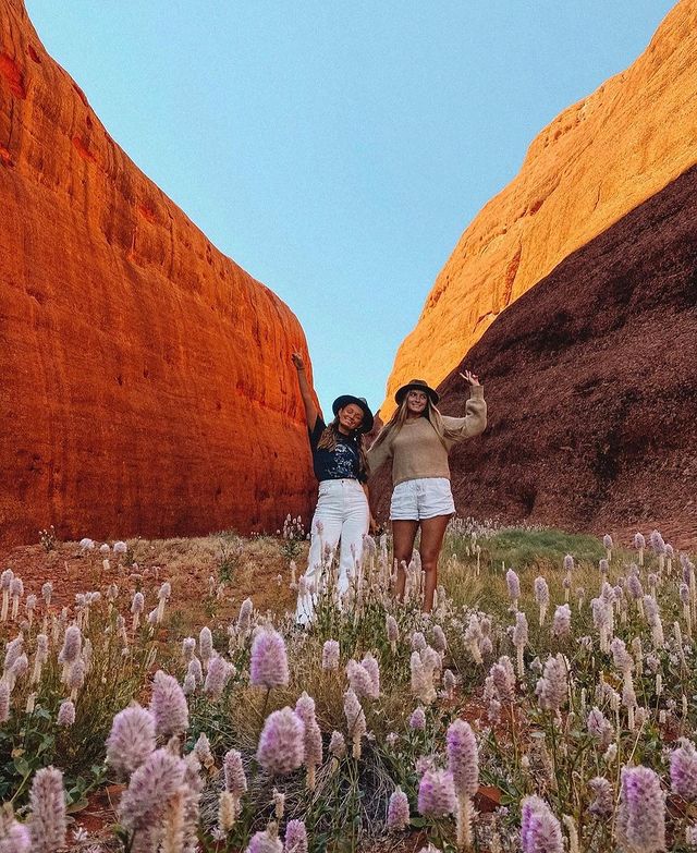 Kata Tjuta, Red Centre