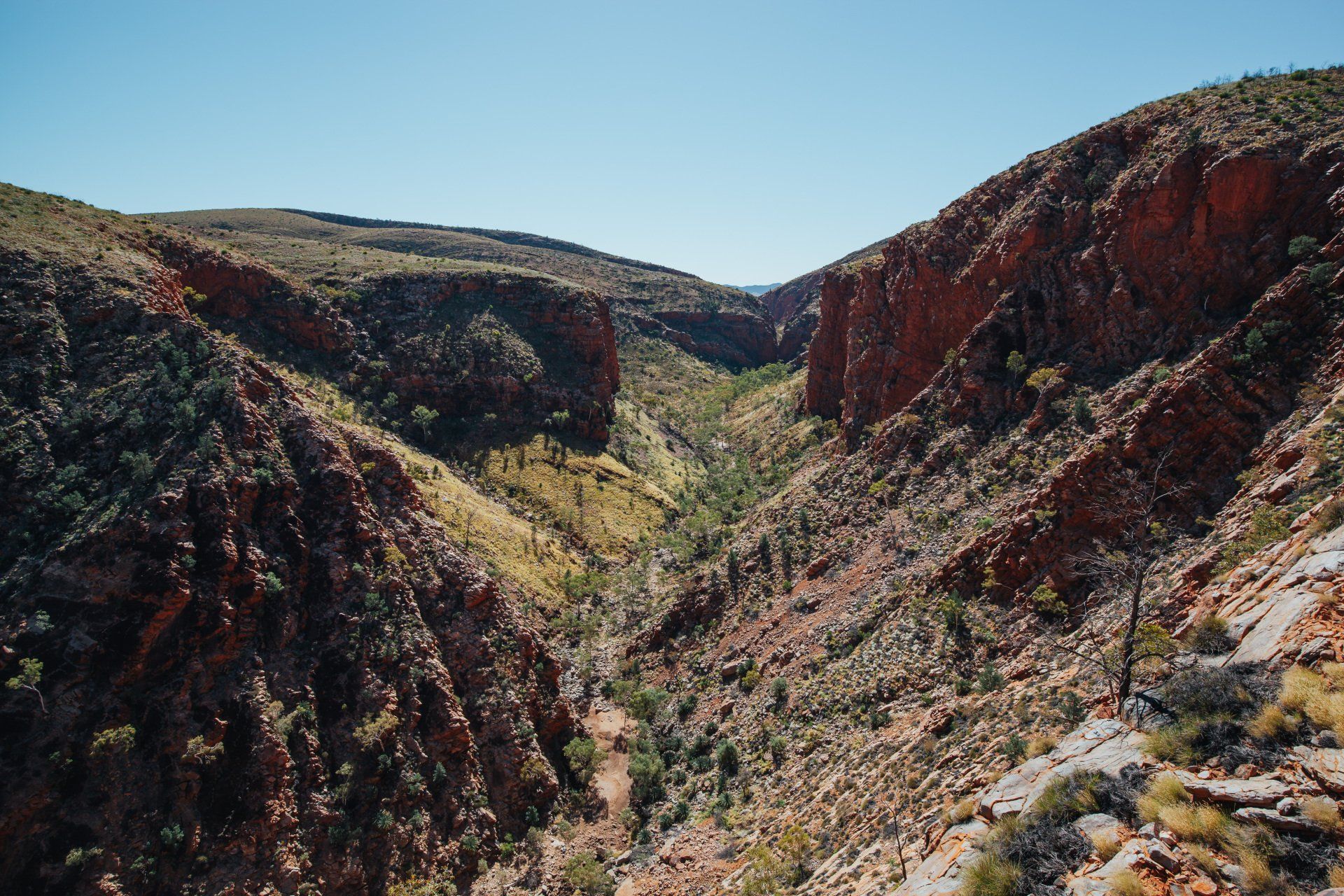 A canyon surrounded by mountains and trees on a sunny day