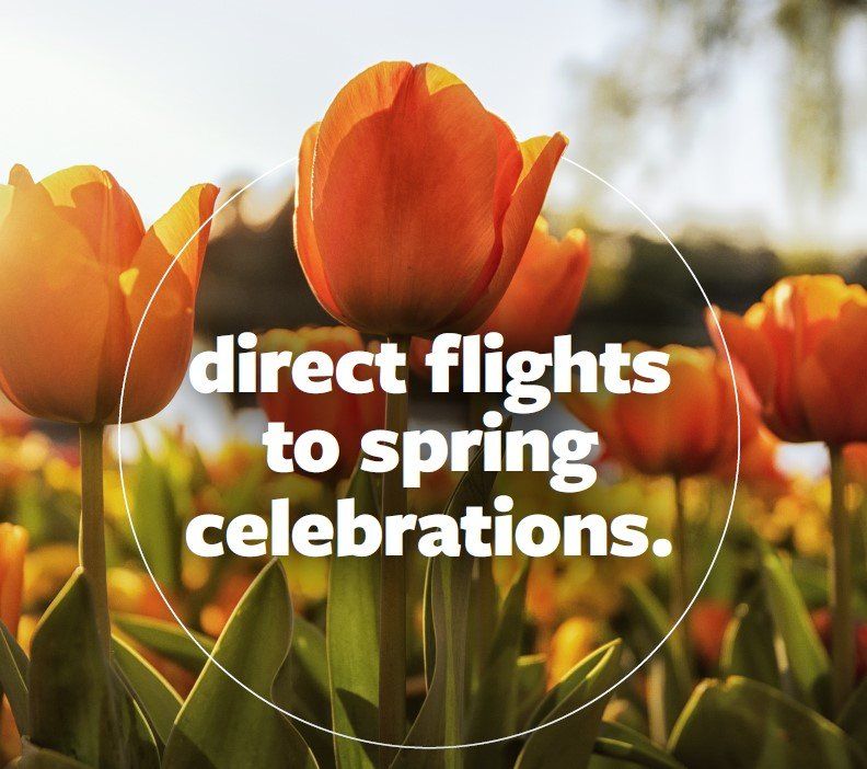 An advertisement for direct flights to spring celebrations