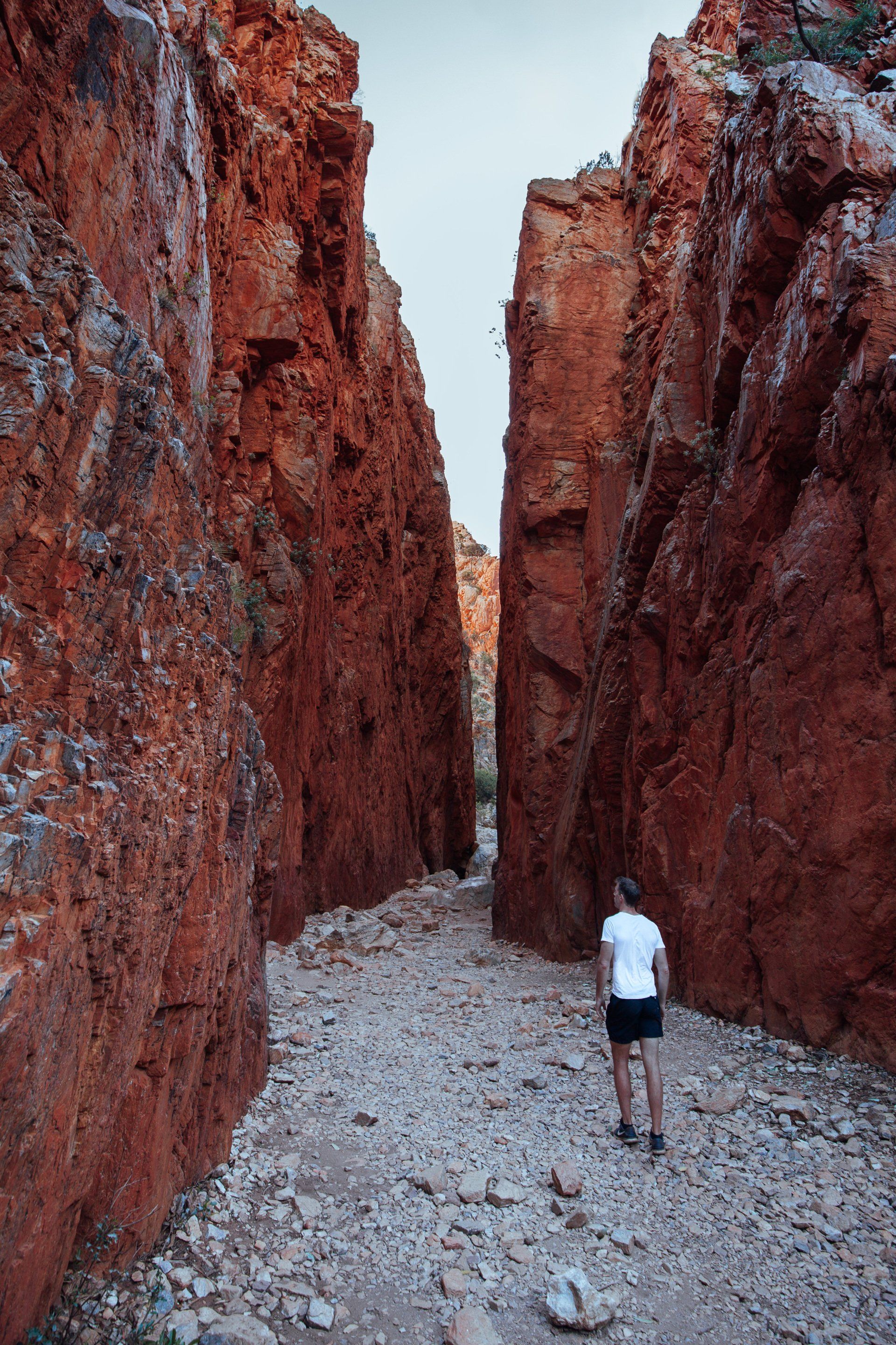 A person is standing in the middle of a canyon.