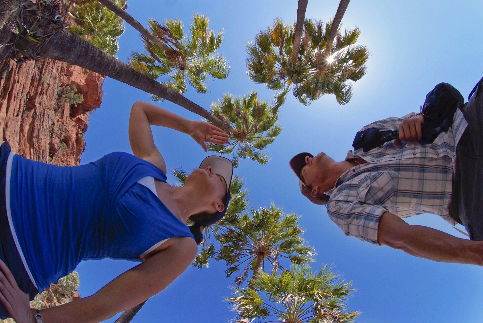 A man and a woman are looking up at palm trees
