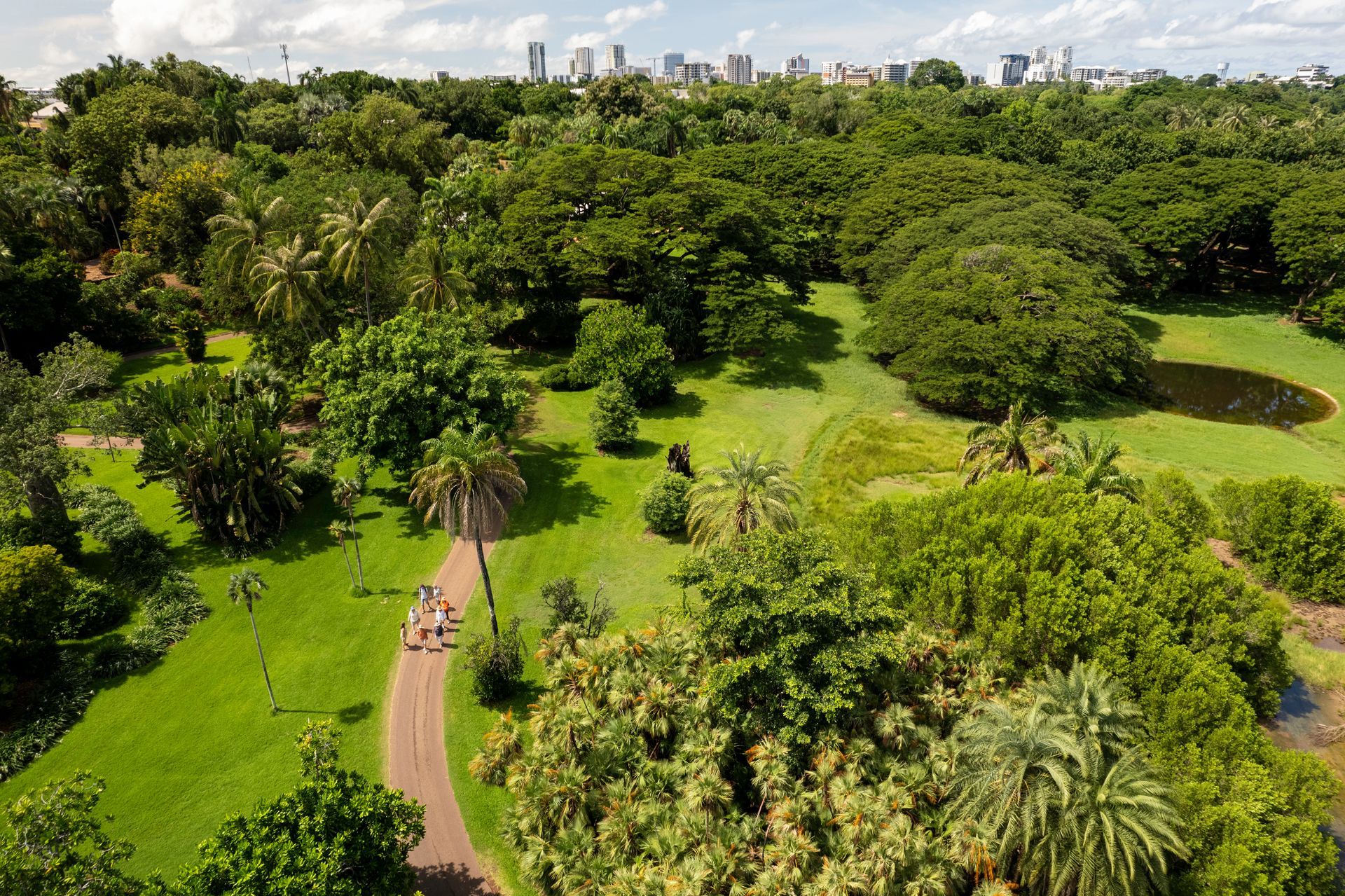 An aerial view of a park filled with lots of trees and grass.