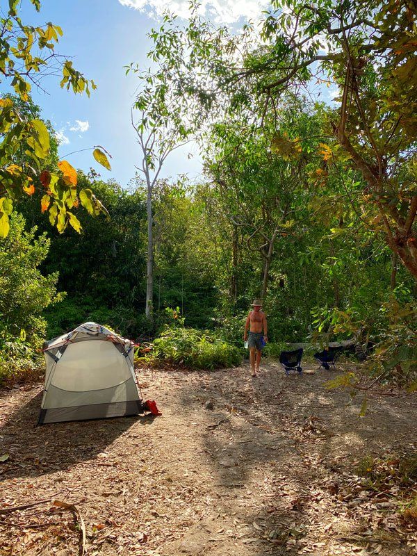 A man is standing next to a tent in the middle of a forest.