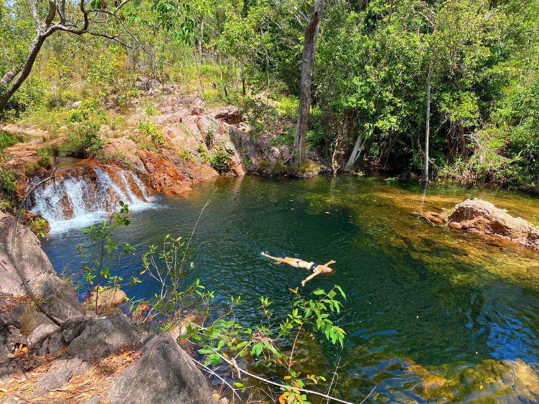 A person is swimming in a pond with a waterfall in the background.