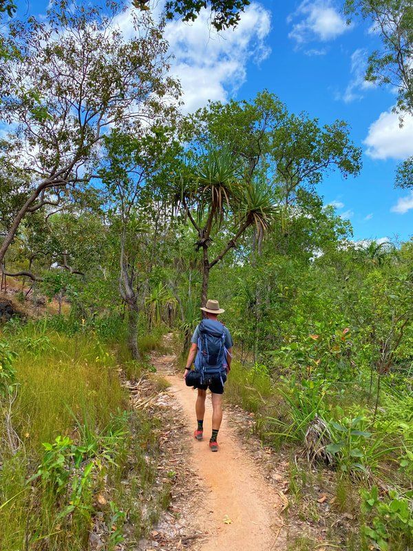 A person is walking down a dirt path in the woods.